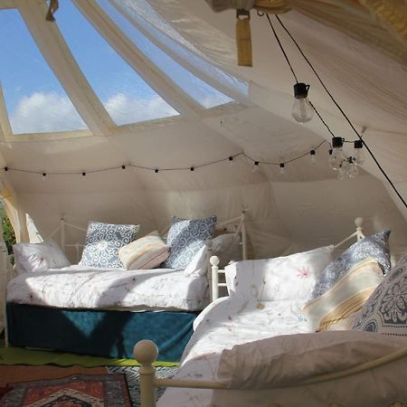 Tal-Y-Fan Farm 6M Stargazer Tent Bridgend  Dış mekan fotoğraf